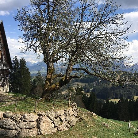 Fewo In Tiefenberg/ Allgaeu オフターシュヴァング エクステリア 写真